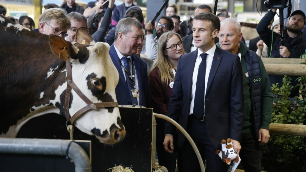 Salon de l'agriculture : après sa visite mouvementée, Emmanuel Macron pointe la responsabilité de ceux qui "sont là avec un projet politique, servir le Rassemblement national"
          Malgré une arrivée chaotique, le président a finalement passé 13 heures dans les allées du Parc des expositions, grâce à un important dispositif policier. Selon lui, les heurts entre agriculteurs et policiers sont de la responsabilité de la Coordination rurale et profitent au RN.