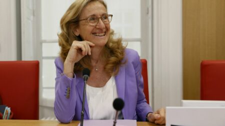 Remaniement : Nicole Belloubet à l'Education nationale, une ancienne rectrice à la rescousse de l'école publique
          L'ancienne garde des Sceaux sous le gouvernement Philippe (2017-2020) devient ministre de l'Education nationale. Elle succède à Amélie Oudéa-Castéra, en pleine tempête depuis sa nomination le 11 janvier.