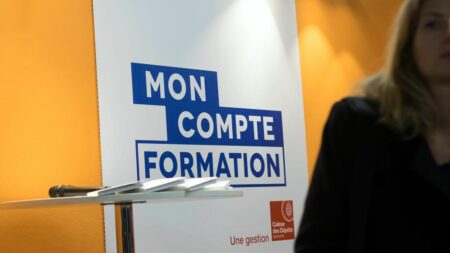 « Participation forfaitaire » imposée par le gouvernement pour le compte de formation (CPF) des salariés Plan d'économies : les salariés devront verser une "participation forfaitaire" pour bénéficier du compte personnel de formation (CPF), annonce le gouvernement
Bercy précise lundi que 10% du prix des formations sera désormais pris en charge par ceux qui en bénéficient, à l'exception des demandeurs d'emploi qui n'auront pas à payer ce reste à charge. La mesure sera effective dès cette année.
