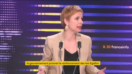 "Pause" du plan Ecophyto : "C'est la folie totale sur le plan écologique", dénonce Clémentine Autain, députée LFI de Seine-Saint-Denis.
          La députée La France insoumise de Seine-Saint-Denis dénonce également le manque d'ambition pour la filière bio, au lendemain des annonces du gouvernement pour l'agriculture.