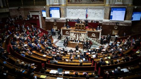 Dérives sectaires : l'Assemblée nationale adopte le projet de loi avec l'article créant un nouveau délit de "provocation à l'abstention de soins" médicaux
          Il a fallu deux votes pour obtenir l'aval d'une majorité de députés sur la création de ce nouveau délit.