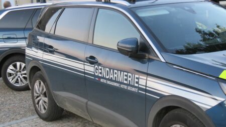 Loiret : 900 000 fichiers pédopornographiques saisis par les gendarmes, six hommes placés en détention
          D'après les informations de France Inter, entre avril 2023 et début février 2024, six suspects ont été interpellés, mis en examen et placés en détention provisoire dans cette affaire.