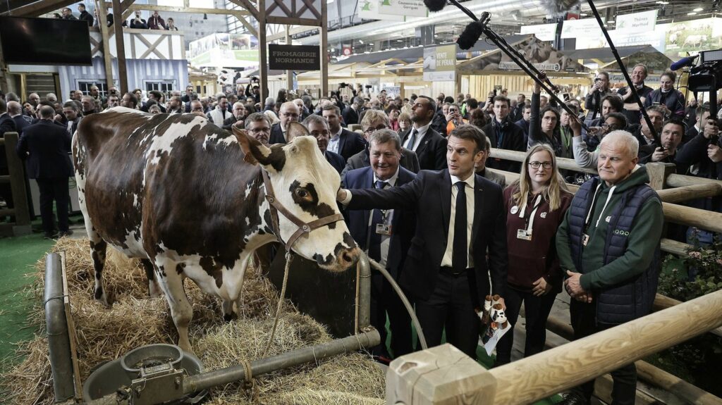 Salon de l'agriculture : Oreillette, la vache égérie, au cœur du tumulte
          Alors que la colère des agriculteurs ne retombe pas et qu'Emmanuel Macron a inauguré le salon de l'agriculture, samedi, sous les huées, les animaux du salon, eux, se retrouvent aux premières loges.