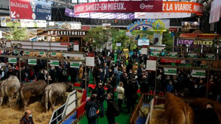 Semaine de préparation gouvernementale avant l’ouverture du Salon de l’Agriculture le 24 Février Avant l'ouverture du Salon de l'agriculture, une semaine de déminage pour le gouvernement
Le Salon de l'agriculture ouvre ses portes samedi 24 février, mais c'est toute cette semaine qui sera placée sous le signe de l'agriculture pour le gouvernement