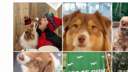 Réseaux sociaux : le succès des animaux de compagnie influenceurs
          Le film "Chien et Chat", qui sort mercredi 14 février sur les écrans, raconte les aventures d'un bébé labrador et d'une chatte influenceuse. Sur les réseaux sociaux, de nombreux maîtres partagent la vie de leurs animaux, avec parfois des contrats publicitaires à la clé.