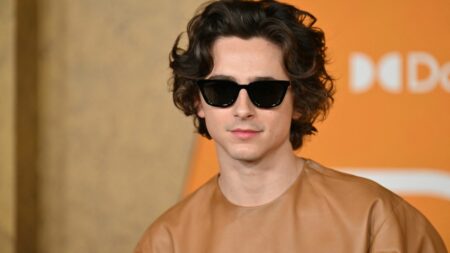 Timothée Chalamet dans le rôle de Bob Dylan : le tournage du biopic a démarré à New York
          Après Elvis, Bob Marley, Freddie Mercury, ce film sur Bob Dylan vient s'ajouter à la longue liste des biopics sur des légendes du rock et de la pop.
