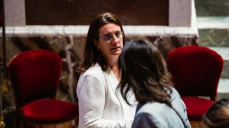 Des députés alertent la justice de possibles "manquements" lors d'un casting d'enfants pour le film "CE2" de Jacques Doillon
          Présidente de la délégation aux droits des enfants, la députée Modem Perrine Goulet a évoqué de la maltraitance après le visionnage des vidéos.
