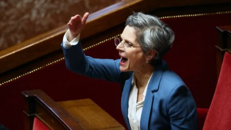 Confrontation entre la députée Sandrine Rousseau et la ministre Sarah El Haïry sur l’Aide sociale à l’enfance; Soutien de Rousseau aux grévistes du 119 Vidéo
"Nous ne pouvons plus fermer les yeux sur ce qu'il se passe" : passe d'armes entre la députée Sandrine Rousseau et la ministre Sarah El Haïry sur l'Aide sociale à l'enfance
L'élue écologiste de Paris a apporté son soutien aux salariés du 119, le numéro d'appel pour les enfants en danger, actuellement en grève.