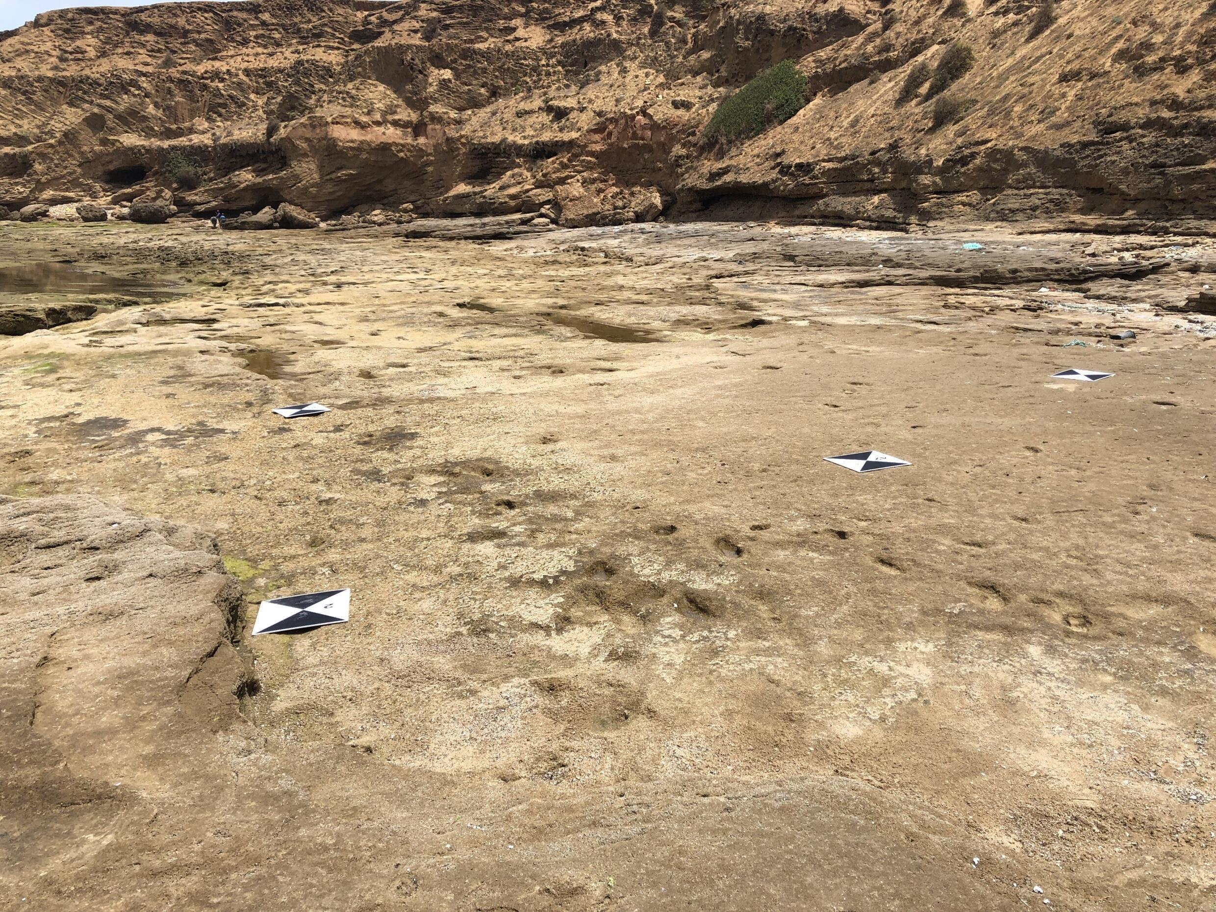 Des empreintes humaines vieilles de 100 000 ans découvertes à Larache au Maroc.