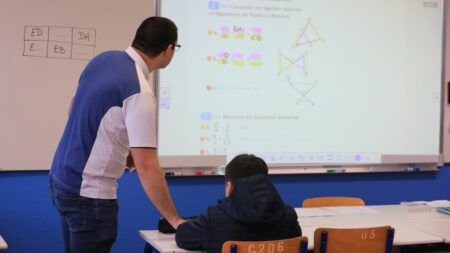 Groupes de niveau au collège : le ministère de l'Education nationale précise les modalités d'application
          Après la parution d'un arrêté dimanche, un texte visant à organiser les enseignements de français et de mathématiques en effectifs réduits est désormais disponible sur le site du ministère de l'Education nationale.