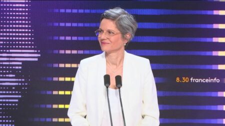 IVG dans la Constitution : Réaction émue de la députée Sandrine Rousseau avant le vote historique Constitutionnalisation de l'IVG : "Je suis très émue, c'est un grand jour", réagit la députée Sandrine Rousseau
La députée participera au vote lundi après-midi lors du Congrès de Versailles pour inscrire explicitement l'interruption volontaire de grossesse (IVG) dans la Constitution. Une première mondiale.