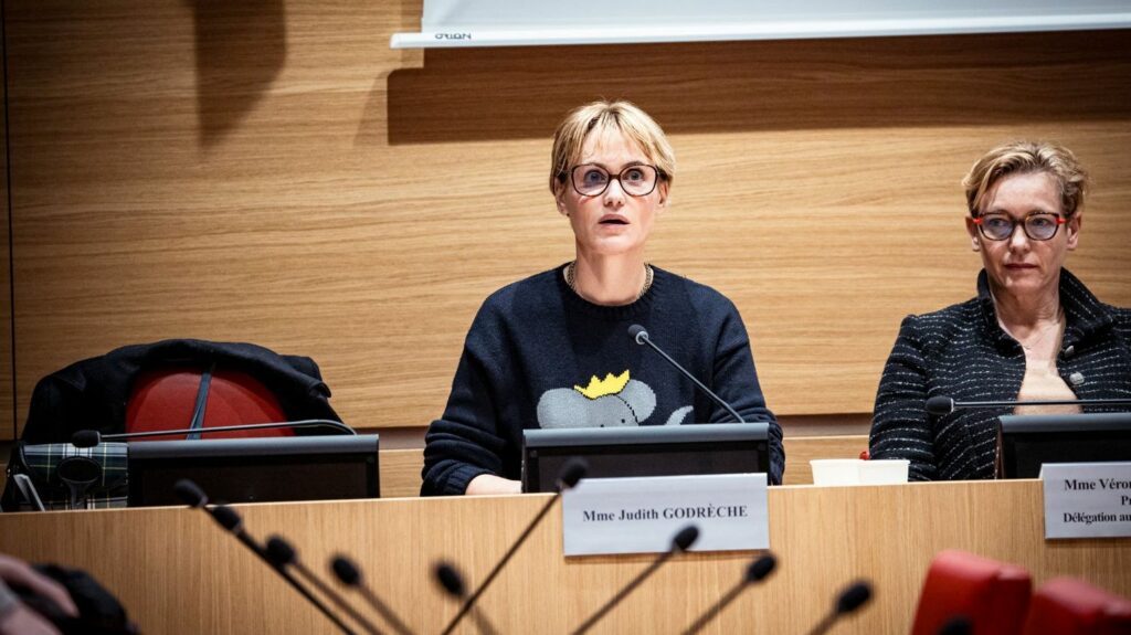 Judith Godrèche demande une commission d'enquête parlementaire sur le cinéma visant à mieux protéger les enfants sur les tournages
          A l'issue de l'audition de l'actrice, mercredi, la présidente de la délégation aux droits des enfants, Perrine Goulet, a assuré que sa délégation et celle dédiée aux droits des femmes allaient "continuer ce combat."