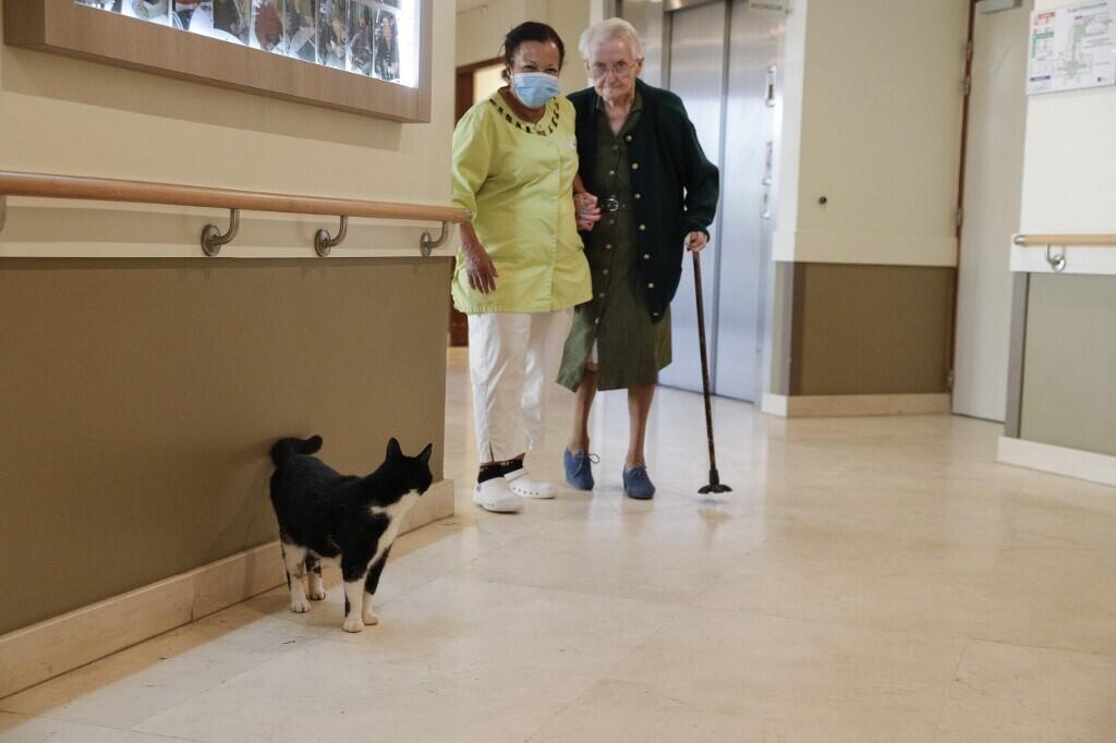 Un agent de santé se promène avec une femme âgée et un chat dans une maison de retraite de Villeneuve-Saint-Georges, au sud de Paris, le 12 novembre 2020.