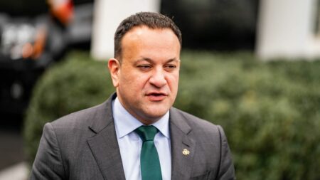 Le Premier ministre irlandais, Leo Varadkar, annonce sa démission
          Le dirigeant de 45 ans a invoqué des raisons "à la fois personnelles et politiques" en annonçant son départ dans une déclaration à la presse, à un an de la date prévue des prochaines élections.