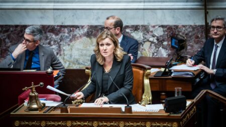 Mission d’information sur le rôle local du député lancée par l’Assemblée nationale L'Assemblée nationale lance une mission d'information sur le rôle local du député
Les travaux des vingt-six parlementaires qui composent cette mission doivent commencer le 8 avril.