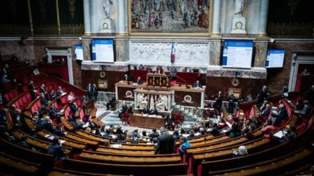 Projet de loi français face aux ingérences étrangères : riposter à cyberattaques, désinformation, corruption Cyberattaques, fausses informations, corruption... Face aux ingérences étrangères en France, un projet de loi étudié pour "riposter et réagir"
Cette proposition de loi est présentée mercredi en Commission des lois. Elle prévoit notamment de s'inspirer des méthodes du contre-terrorisme.