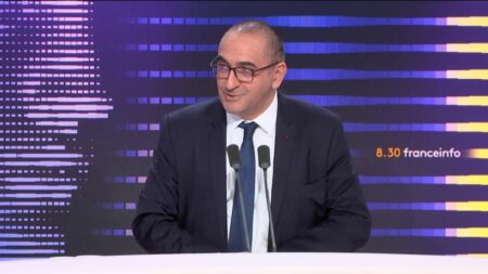 Paris 2024 : la sécurisation des Jeux "est un défi mais on va le relever", affirme le préfet de police de Paris
          À moins de cinq mois de la cérémonie d'ouverture des Jeux de Paris 2024, Laurent Nuñez se veut rassurant au sujet de la sécurité de l'évènement. Il va mobiliser jusqu'à "45 000 agents des forces de l'ordre certains jours".