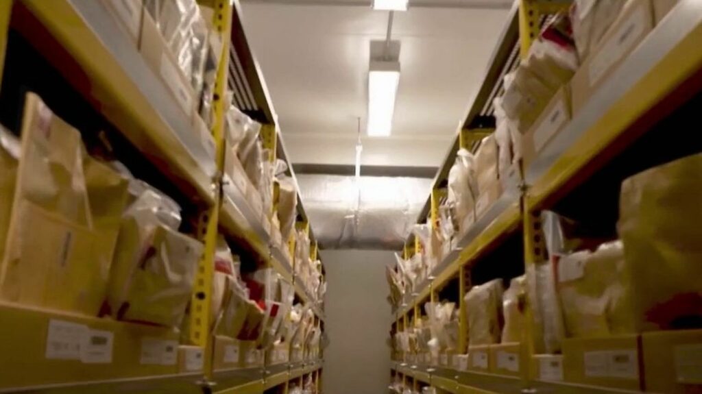 Crimes non élucidés : immersion dans une unité "cold case"
          Créé en 2022, le pôle "cold case", qui enquête sur des crimes non élucidés, est localisé au tribunal de Nanterre, dans les Hauts-de-Seine. De quels moyens dispose-t-il aujourd’hui ? Immersion dans l’une de ses unités.