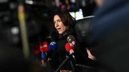 Elections européennes : "Jordan Bardella et le Rassemblement national ne veulent pas parler d'Europe", réagit Valérie Hayer
          La tête de liste de la majorité aux élections européennes s'est exprimée sur les critiques envers Emmanuel Macron, lancées dimanche par son opposant lors d'un meeting à Marseille.