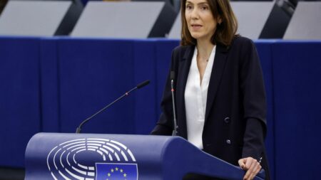 "Elle part de zéro" : Valérie Hayer, tête de liste de Renaissance pour les élections européennes 2024, pose question dans son propre camp
          Le parti d'Emmanuel Macron a officialisé la candidature de l'eurodéputée de 38 ans, inconnue du grand public. Une mission quasi-impossible ?