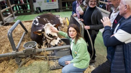 "C'est assez cocasse" : une visite quasiment sans encombre pour les écologistes au Salon de l’agriculture
          La déambulation des élus écologistes au Salon de l'agriculture, vendredi, s'est déroulée dans le calme la majorité du temps, à l'inverse de celle des membres de l'exécutif.