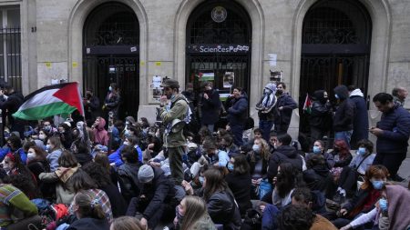 L’université de Paris refuse de rompre ses liens avec Israël au milieu des manifestations pro-palestiniennes Le Conseil suspend le financement de l'université de Paris au milieu des manifestations pro-palestiniennes