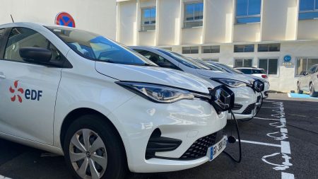 "Il faut anticiper et EDF ne doit pas se laisser déborder" : sur l'île de La Réunion, les voitures électriques sont en plein boom, mais le réseau électrique ne suit pas forcément
          Les ventes de voitures électriques ont plus que doublé en deux ans à La Réunion, où on en compte actuellement 15 000 sur les routes. Mais cela pose des difficultés pour le réseau électrique de l'île.