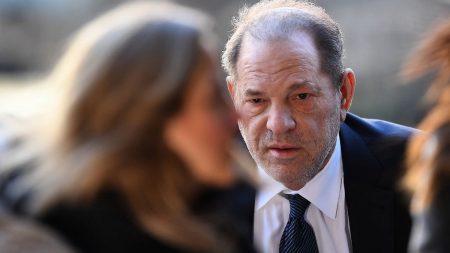 L'ex-producteur de cinéma Harvey Weinstein hospitalisé à New York
          La condamnation de l'ancien magnat d'Hollywood, âgé de 72 ans, a été annulée, jeudi.