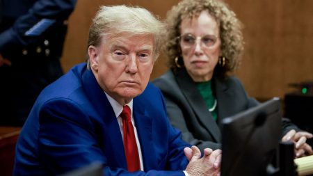 Présidentielle américaine : ce qu'il faut savoir avant l'ouverture du procès pénal de Donald Trump
          Pour la première fois de l'histoire des Etats-Unis, un président américain a été inculpé au pénal par un grand jury. S'il est reconnu coupable, Donald Trump risque une peine maximale de quatre ans de prison.
