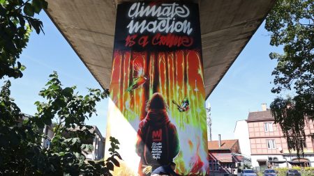 Inaction climatique : la Cour européenne des droits de l'homme doit se prononcer mardi sur la responsabilité des États
          La CEDH doit se prononcer dans trois affaires distinctes. Une première victoire, selon les principaux requérants, six jeunes portugais, dont le premier objectif était de forcer les États à s'expliquer sur leur politique climatique.