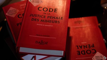 Affaire Matisse : cinq choses à savoir sur la justice des mineurs
          Le code de la justice pénale des mineurs (CJPM) regroupe les grands principes de la justice pour mineurs avec pour objectif de les protéger et de les sanctionner lorsque cela est nécessaire.