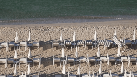 Festival de Cannes 2024 : la plage du Carlton, un lieu iconique
          Le 13 Heures continue de faire découvrir les secrets de Cannes. La plage du Carlton, le palace de la Croisette, est presque aussi mythique que le tapis rouge. Toutes les stars y sont passées, de Brigitte Bardot à Cary Grant.
