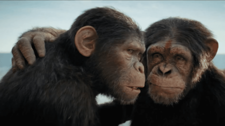 Cinéma : "La Planète des singes", une longue saga qui interroge sur l’humanité
          Vendredi 3 mai, la série "Culte" se penche sur le retour de "La Planète des singes", dont le nouvel opus est à l’affiche au cinéma. La saga avait débuté avec Charlton Heston en 1968, mais derrière cette série signée Hollywood, se cache le roman d’un Français, Pierre Boule.