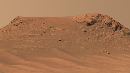 Comment les champignons et les bactéries pourraient aider à construire des habitats sur Mars