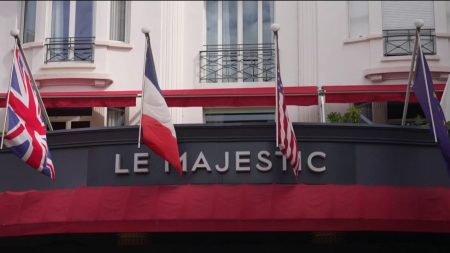 Festival de Cannes : une organisation qui ne laisse pas de place au hasard
          Du 14 au 25 mai, le Festival de Cannes va rythmer la ville azuréenne et le pays tout entier. Pour ne rien laisser au hasard, les festivaliers s'y sont bien préparés.