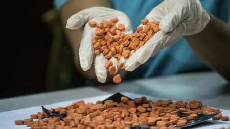 La police saisit plus d'un million de pilules d'ecstasy dans le sud de la France
