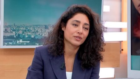 Cinéma :  "L'art et la culture iranienne ne m'ont jamais quittée", assure l’actrice Golshifteh Farahani
          La comédienne est à l’affiche de "Roqya", polar qui sort en salle mercredi. Elle y incarne une femme traquée, qui résiste, rôle qui fait écho à son histoire personnelle de réfugiée iranienne.