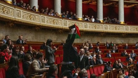 Un député français suspendu pour avoir brandi le drapeau palestinien lors d'un débat
