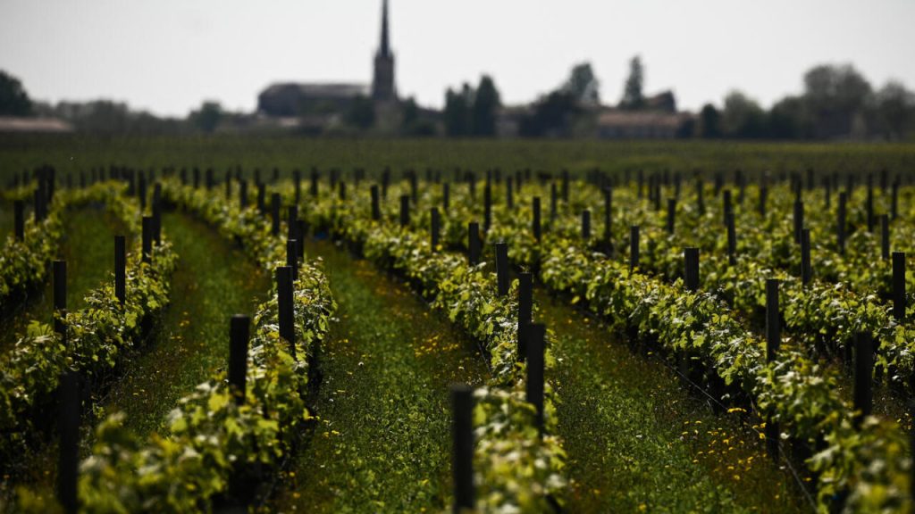 Un tribunal français confisque les châteaux viticoles de Bordeaux au magnat chinois