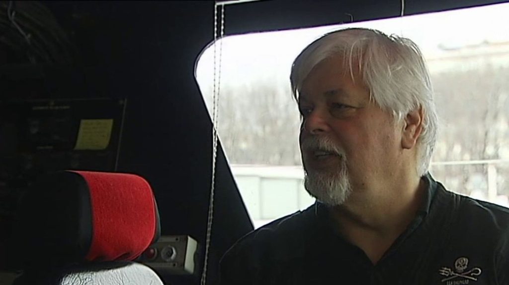 Chasse à la baleine : l'arrestation de Paul Watson, fondateur de Sea Shepherd, suscite la polémique