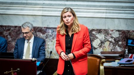 Assemblée nationale : le Conseil constitutionnel rejette le recours de LFI contre Yaël Braun-Pivet Présidence de l'Assemblée nationale : le Conseil constitutionnel rejette le recours de LFI, qui contestait la réélection de Yaël Braun-Pivet