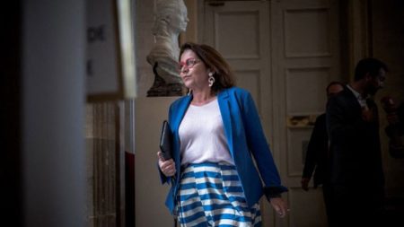 La députée macroniste Annaïg Le Meur affirme que son collègue RN Franck Giletti "a tenu des propos inacceptables" à son égard
