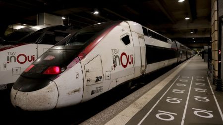 Édito



  

    
      
    
      

  

  
    "Attaque massive" sur le réseau TGV : la relative prudence des politiques

          Certains ont pointé "l'ultragauche" après la révélation d'actes de sabotage sur les lignes TGV, vendredi. Mais l'immense majorité de la classe politique s'est contentée de s'indigner sans accuser quiconque.