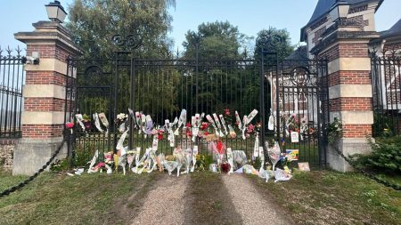 "C'est toute ma jeunesse" : à Douchy dans le Loiret, où Alain Delon résidait, des fans viennent se recueillir