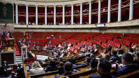 Députés battus : témoignages d’une reconversion professionnelle après les législatives. Témoignages
"J'ai commencé à agiter mon réseau" : un mois après les législatives, des députés battus cherchent une reconversion professionnelle