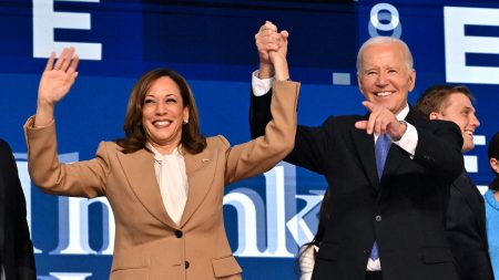 Présidentielle américaine : ovationné par les démocrates, Joe Biden passe le flambeau à Kamala Harris