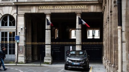 La France insoumise saisit le Conseil constitutionnel pour contester le cumul des mandats des ministres démissionnaires devenus députés