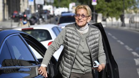 Diffamation et injures : Isabelle Balkany relaxée pour vice de procédure face à la maire de Levallois Isabelle Balkany, poursuivie pour diffamation et injures envers la nouvelle maire de Levallois, est relaxée pour une question de procédure