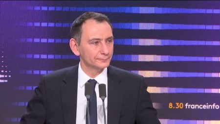 Immigration : si Bruno Retailleau rétablit la "double peine", "nous applaudirons des deux mains", affirme le député RN Laurent Jacobelli