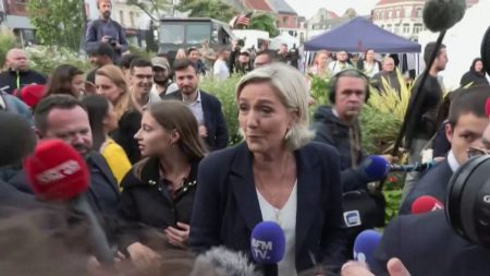 Procès des assistants parlementaires du FN : que risque Marine Le Pen ?